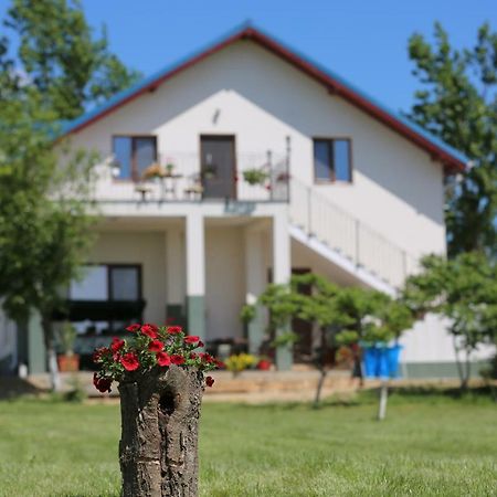 Pensiunea Palaghia Jurilovca Exterior foto