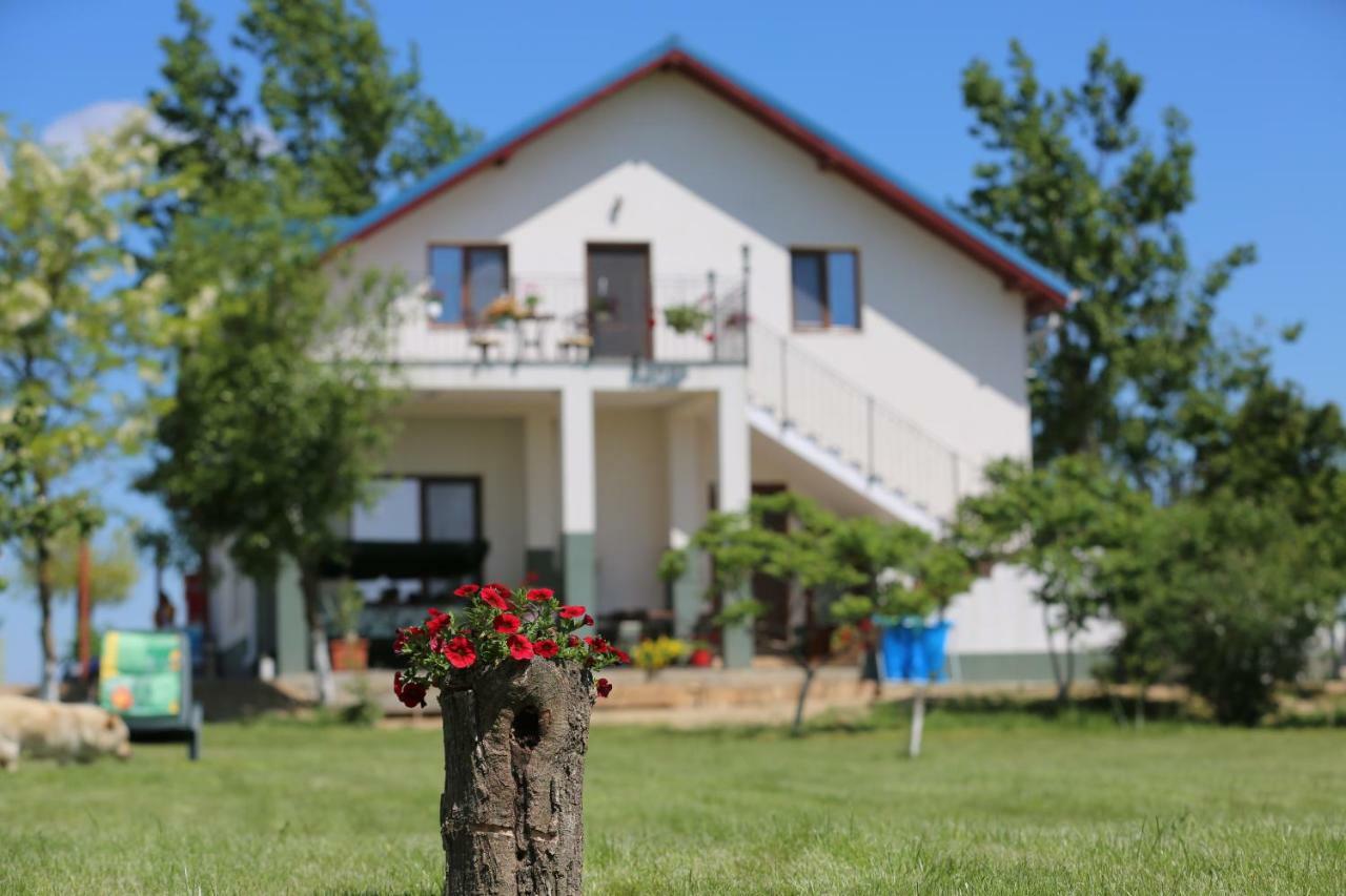 Pensiunea Palaghia Jurilovca Exterior foto