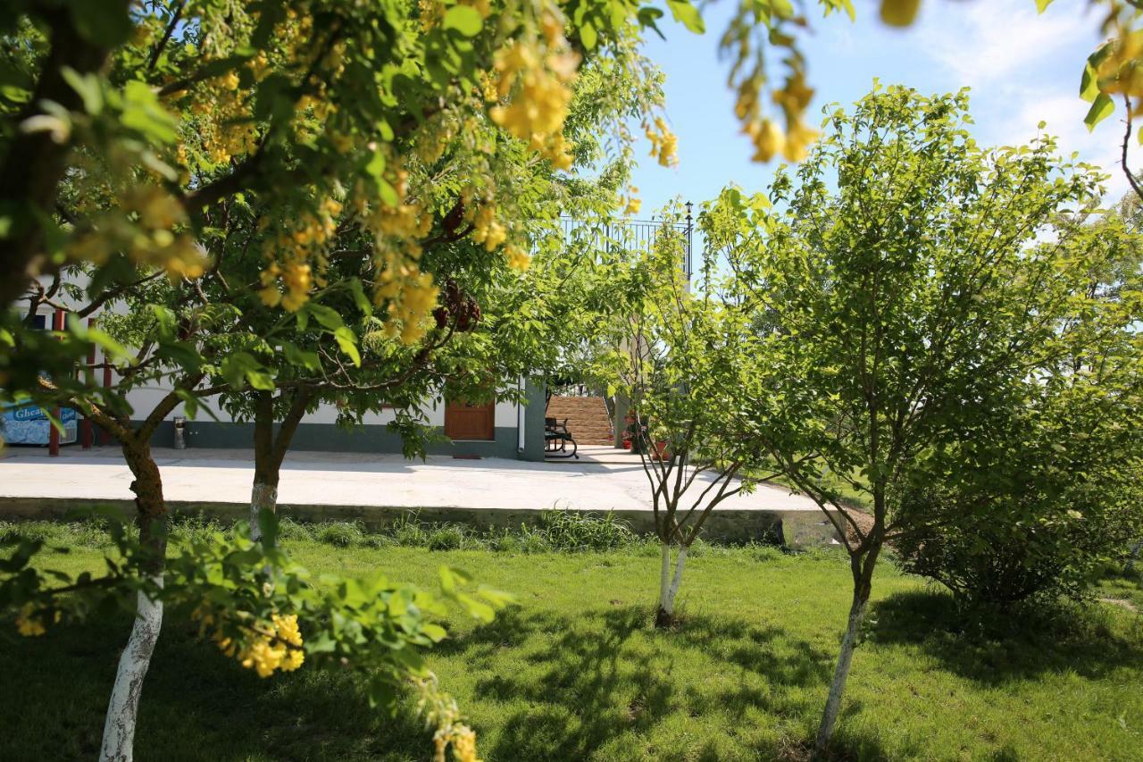 Pensiunea Palaghia Jurilovca Exterior foto